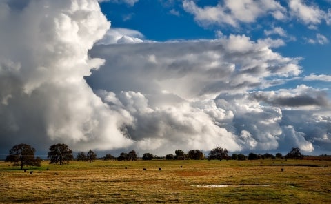 Cloudy sky over brown grass field