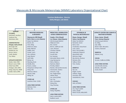 Screencap of the MMM Org Chart